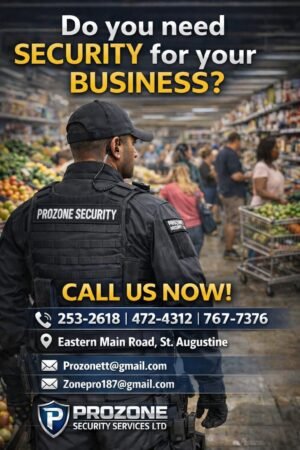 Business Security Services